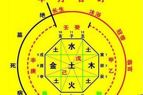 命理菌|生辰八字算命、五行喜用神查询（免费测算）